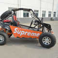 Brothers Go Kart Cool Atv Car For Adults